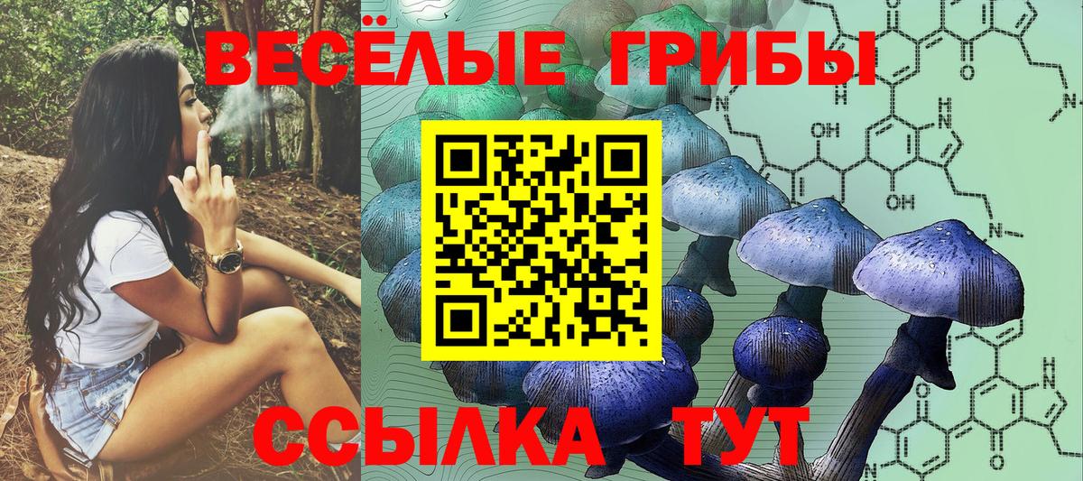 Малоярославец  Псилоцибиновые грибы Psilocybine cubensis  Вход с VPN 